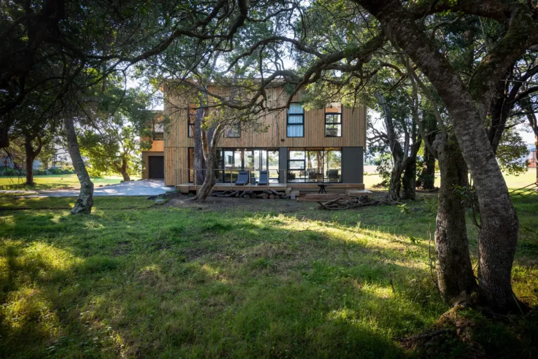 Main view of TERRAVERTA project 797