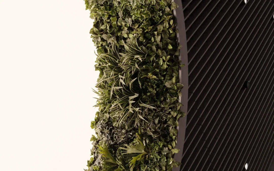 Sustainable Building Materials That Work in South Africa