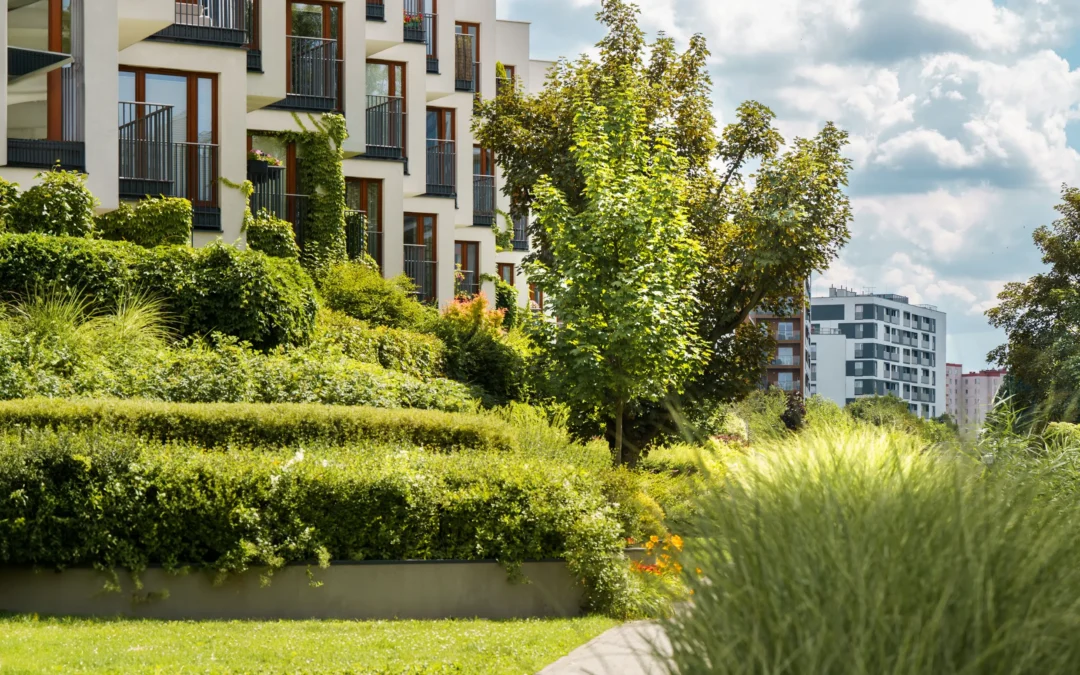 What to Look for in a Sustainable Homes Developer: A Complete Guide to the Concepts That Matter